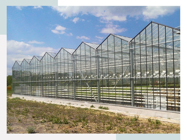 Строительство теплиц в Тейково от 652 руб. за м²